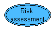 Risk assessment node.png