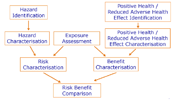 Figure 1: The risk-benefit assessment paradigm, as recommended by the EFSA Scientific Committee and based on the discussions of the EFSA scientific colloquium on risk-benefit analysis of foods.