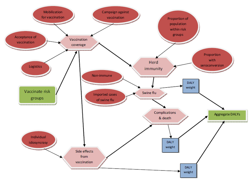 File:Causal Diagram for Selective Vaccination against Swine Flu.png